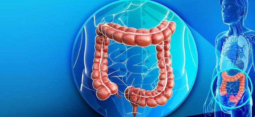Colonproctologia